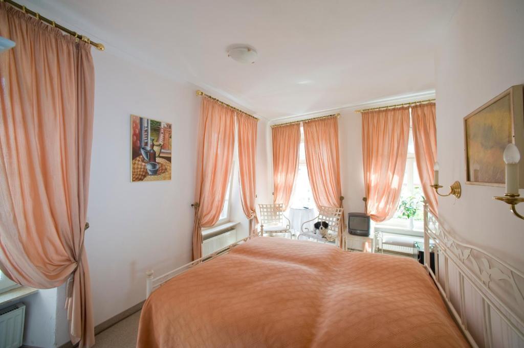 Hotel Goldener Hecht Хайделберг Стая снимка